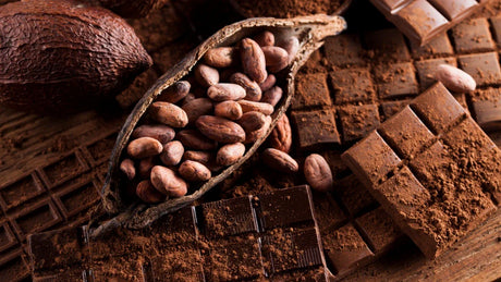 Zuckerfreie Schokolade