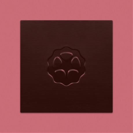 2 Tafel nussfreie vegane Pearl of Ecuador Dark - 71% (Heinde & Verre)