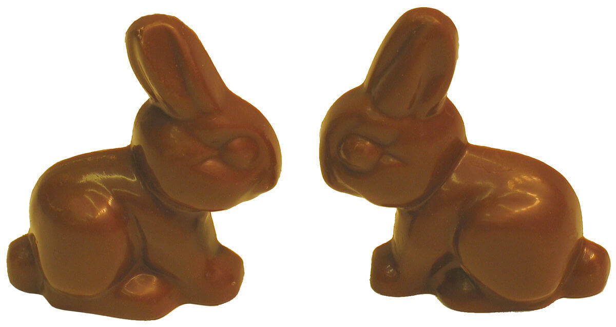 chocolate bunny for easter