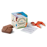 ToyChoc Box - Meerestiere + 20g allergenfreie Bio Schokolade (PLAY in CHOC)