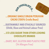 ToyChoc Box - Dinosaurier + 20g allergenfreie Schokolade (PLAY in CHOC)